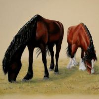 Friesian and shire, pastels, 40x30 cm